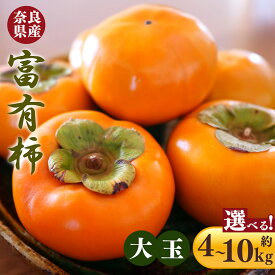 【ふるさと納税】 柿 富有柿 大玉 サイズ | フルーツ くだもの 果物 柿 かき カキ 富有柿 奈良県 五條市 産地直送
