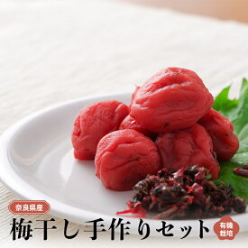 【ふるさと納税】有機栽培 梅干し 手作り セット | ＜先行予約：6月中旬〜7月上旬発送予定＞果実 かじつ カジツ 梅 うめ ウメ 梅干し うめぼし 奈良県 五條市 健康 梅干し 梅仕事 約3.5kg 南高梅 梅酢 もみしそ 天然塩