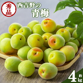【ふるさと納税】【厳選】西吉野の青梅（南高梅）約4kg（秀品）| 果実 かじつ カジツ 梅 うめ ウメ 梅干し うめぼし 奈良県 五條市 健康※6月上旬～2025年6月下旬頃発送予定※北海道・沖縄・離島発送対応不可