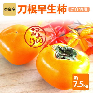 yӂ邳Ɣ[Łz 󂠂 ` ˂Ȃ   ` p  7.5kg mSunt@[n | t[c  ʕ `  JL ` ޗǌ ܞs 󂠂 {̊`̂܂ H̖o 