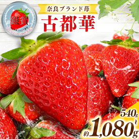 【ふるさと納税】 いちご 奈良県産ブランド「 古都華 （ ことか ）」 2パック （ 約540g ） 4パック （ 約1080g 以上 ）| フルーツ くだもの 果物 いちご イチゴ ことか コトカ 古都華 奈良県 五條市