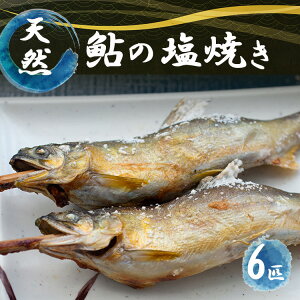 yӂ邳Ɣ[ŁzⓀ VR̉Ă 6C (˂) b싛   TJi VR  A Ⓚ ޗǌ ܞs