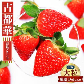 【ふるさと納税】奈良の いちご「 古都華 〜 ことか 〜」 大粒 厳選 Deluxe（小箱） ※12月下旬頃～3月下旬頃に順次発送予定　※北海道・沖縄・離島対応不可 | フルーツ くだもの 果物 いちご イチゴ ことか コトカ 古都華 奈良県 五條市