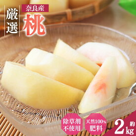 【ふるさと納税】 桃 大和果樹園の桃 約2kg | フルーツ 果物 くだもの 桃 もも ピーチ 白鳳 夢しずく あかつき 白桃 夏おとめ 白麗 奈良県 五條市