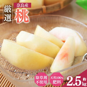 yӂ邳Ɣ[Łz  aʎ̓ 2.5kg | t[c ʕ    s[` P    ĂƂ  ޗǌ ܞs