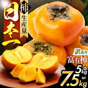 yӂ邳Ɣ[ŁzVLbƊÂI 󂠂 xL` Iׂ e  5kg / 7.5kg | t[c  ʕ `  JL ޗǌ ܞs 󂠂 햳 Ȃ` Yn Y lC  O