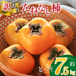 yӂ邳Ɣ[Łz 󂠂 ` e ƒp ǂ ˂Ȃ` 7.5kg | t[c  ʕ  JL ޗǌ ܞs   킯 ƒp p ǂ Ղ Ȃ 햳 