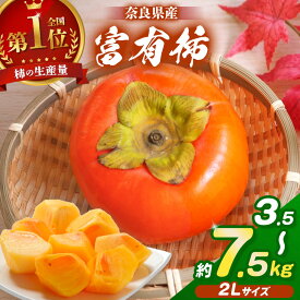【ふるさと納税】 厳選 富有柿 2L サイズ 選べる 内容量 約 3.5kg / 5kg / 7.5kg | フルーツ くだもの 果物 柿 かき カキ 奈良県 五條市 厳選 産地直送 国産 人気 送料無料 グルメ お取り寄せ 大容量 ビタミン 食物繊維 豊富 秋 旬 奈良県 五條市