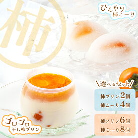 【ふるさと納税】柿プリン と 柿こーり セット | お菓子 和菓子 洋菓子 スイーツ ぷりん プリン おやつ 柿 かき カキ ギフト 贈り物 手土産 お中元 お歳暮 奈良県 五條市