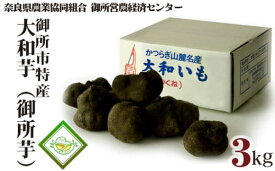 【ふるさと納税】御所市 特産 大和芋 （御所芋） ／ 奈良県農業協同組合 いも 疲労回復 野菜 食物繊維 奈良県 御所市