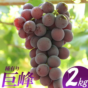 yӂ邳Ɣ[Łz 2kg ^ t[c ʕ 킠 Ԃǂ uhE ʌ ޗǌ 䏊s