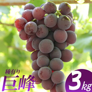 yӂ邳Ɣ[Łz 3kg ^ t[c ʕ 킠 Ԃǂ uhE ʌ ޗǌ 䏊s