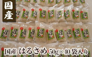 yӂ邳Ɣ[ŁzY͂邳 50g×40ܓ ^ Hi tJ Y  Yi ޗǌ 䏊s