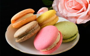 yӂ邳Ɣ[ŁziⓀjpatisserie petit ami ̃}J5 ^ XC[c َq 傫߃TCY ޗǌ 䏊s