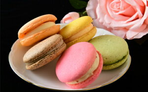 yӂ邳Ɣ[ŁziⓀjpatisserie petit ami ̃}J10 ^ XC[c َq 傫߃TCY ޗǌ 䏊s