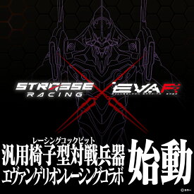 【ふるさと納税】STRASSE RCZ01 TYPE EVA RACING レーシングコックピット シート付 ／ コスティック エヴァンゲリオン エヴァ コラボ 初号機モデル 公式ライセンス商品 奈良県 御所市