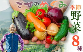 【ふるさと納税】【冷蔵】（水曜日発送）季節のこだわり野菜セット ／ 奥野ファーム大和 季節野菜 有機肥料 奈良県 御所市