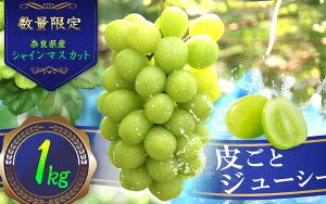 yӂ邳Ɣ[ŁzVC}XJbg 1.0kg ^ t[c ʕ ʌ 炲 ޗǌ 䏊s