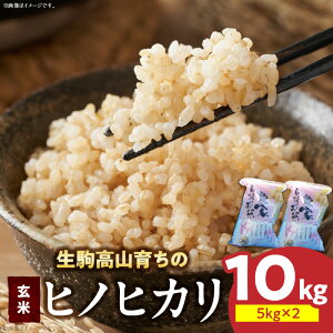 yӂ邳Ɣ[Łzߘa7NYV  qmqJ 5kg × 2 v10kg R炿 Y 㕐    CX S N h{ L@엿 ɂ  lC   