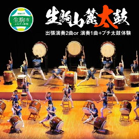 【ふるさと納税】生駒山麓太鼓 出張演奏2曲or演奏1曲＋プチ太鼓体験 奈良県 生駒市 送料無料