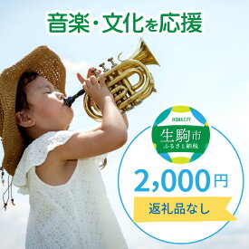 【ふるさと納税】「音楽・文化」を応援 （返礼品なし） 2000円 寄附のみ申込みの方