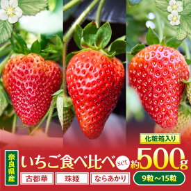【ふるさと納税】【2026年1月〜2026年3月上旬発送】「奈良県産いちご3種セット」化粧箱入りいちご 食べ比べ いちご イチゴ 苺 古都華 珠姫 ならあかり ことか たまひめ 果物 高級 フルーツ デザート 贈り物 お取り寄せフルーツ 奈良県 生駒市 送料無料