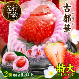 【ふるさと納税】【2026年2月〜3月発送】贈答用：高級いちご「古都華」特大6Lサイズ以上2個 先行予約 ことか 甘い 糖度 濃い 濃厚 果汁 濃赤 香り 朝摘み いちご イチゴ 苺 フルーツ 果物 くだもの ご褒美 ごほうび 贈り物 ギフト プレゼント 冷蔵 奈良県 生駒市 送料無料