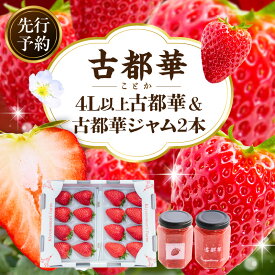 【ふるさと納税】【2026年2月〜3月発送】高級いちご「古都華」4L以上2パック&古都華ジャム2個 先行予約 ことか 甘い 糖度 濃い 濃厚 果汁 朝摘み いちご イチゴ 苺 ジャム フルーツ 果物 果物 ご褒美 ごほうび 贈答 贈り物 ギフト プレゼント 冷蔵 奈良県 生駒市 送料無料