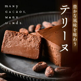 【ふるさと納税】テリーヌ チョコレート チョコ カカオ 濃厚 おやつ スイーツ デザート 洋菓子 贈り物 手土産 プレゼント バレンタイン 冷凍 奈良県 生駒市 送料無料
