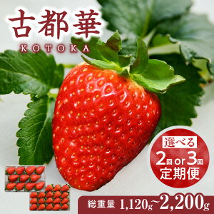 yӂ邳Ɣ[ŁzyIׂ񐔁zy1`5zuÓs؁v 3L`MTCY N   Ós 3L`MTCY [݂̂ZȖ킢 قǂ悢_ x ؂₩ȍ 