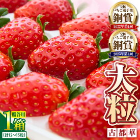 【ふるさと納税】【2026年1月上旬〜2月下旬発送】贈答用いちご 古都華 いちご 数量限定 古都華 12〜15粒 化粧箱 国産 国産苺 ストロベリー 果物 フルーツ デザート おやつ 糖度 濃厚 鮮やか 甘い ビタミン 奈良県産 お取り寄せ 贈答用 送料無料