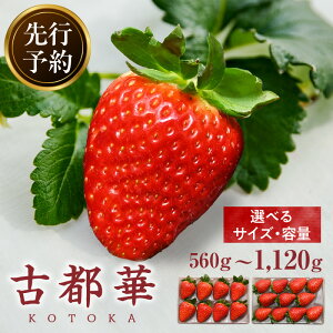 yӂ邳Ɣ[Łzs\ uÓs؁v Ƃ 嗱 Â Z Z x uh  C`S  t[c ʕ  J   蕨 Mtg v[g r[