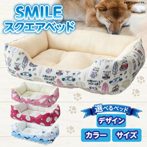 yӂ邳Ɣ[ŁzyIׂ长EFETCYzSMILE XNGAxbh STCY MTCY 񂿂  ޗǌ s 