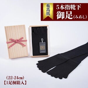 yӂ邳Ɣ[Łzō 5{w Cu䑫 (݂)v(22-24cm)y1˔zb\bNX   [2493]
