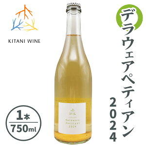 yӂ邳Ɣ[ŁzfEFAyeBA 2024 (750ml×1{)bC ʎ ޗ  [3004]