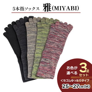 yӂ邳Ɣ[Łz[5{w\bNX]u (MIYABI)vS^Cv 3Zbg (25cm`27cm^M) [2992]
