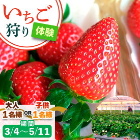 【ふるさと納税】[3月4日から5月11日] いちご狩り体験 1名様 奈良のブランド (あすかルビー)｜イチゴ農園 果物 フルーツ 親子 体験チケット いちご狩り農園 奈良県 [3053p-3054]