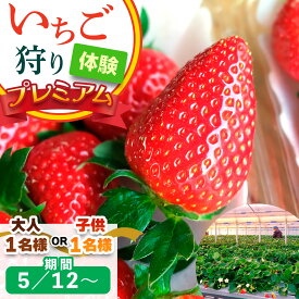 【ふるさと納税】[5月12日以降] いちご狩り体験プレミアム 1名様 奈良のブランド (ならあかり・古都華・あすかルビー)｜イチゴ農園 果物 フルーツ 親子 体験チケット いちご狩り農園 奈良県 [3063p-3064]