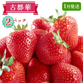 【ふるさと納税】古都華2パックセット [1月] 発送｜ことか いちご 苺 イチゴ 果物 フルーツ 産地直送 [3230]
