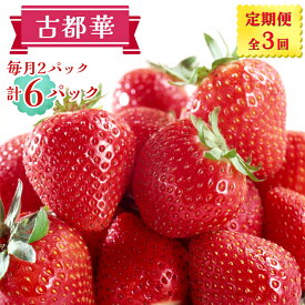 【ふるさと納税】[定期便／全3回] 古都華 2パックセット 毎月お届け1月から3月発送｜ことか いちご 苺 イチゴ 果物 フルーツ 産地直送 [3234]