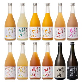 【ふるさと納税】あらごしシリーズと梅酒720ml 12本 セット ／ 梅乃宿酒造 お酒 リキュール ギフト 人気 メーカー直送 みっく酒 ゆず みかん れもん もも りんご ジンジャー 奈良県 葛城市