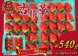【ふるさと納税】古都華 S〜Mサイズ 270g×2パック ／ 西田農園 ブランド いちご 苺 ことか フルーツ 果物 奈良県 葛城市