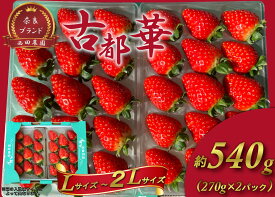【ふるさと納税】古都華 L〜2Lサイズ 270g×2パック ／ 西田農園 ブランド いちご 苺 ことか フルーツ 果物 奈良県 葛城市