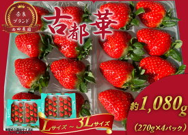 【ふるさと納税】古都華 L〜3Lサイズ 270g×4パック ／ 西田農園 ブランド いちご 苺 ことか フルーツ 果物 奈良県 葛城市