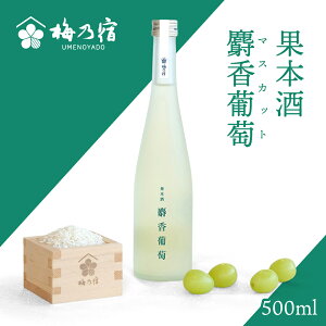 yӂ邳Ɣ[Łz ~Th ʖ{ l (}XJbg) 500ml ^ { t[c ʕ }XJbg Ԃǂ Vo  đ 蕨 Mtg v[g t[eB[