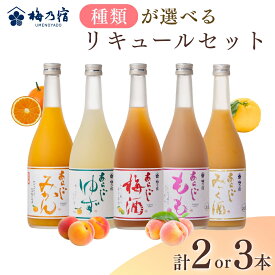 【ふるさと納税】大人気 リキュール の セット 【選べる本数：2本 3本】【選べる種類：あらごし梅酒・もも・ゆず・みかん・みっく酒】（ 720ml / 1本 ） ／ 梅乃宿酒造 お酒 リキュール ギフト 人気 メーカー直送 デザート 国産 奈良県 葛城市