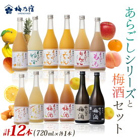 【ふるさと納税】あらごしシリーズと梅酒720ml 12本 セット ／ 梅乃宿酒造 お酒 リキュール ギフト 人気 メーカー直送 みっく酒 ゆず みかん れもん もも りんご ジンジャー 奈良県 葛城市