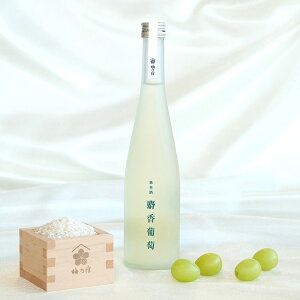 yӂ邳Ɣ[Łz ~Th ʖ{ l (}XJbg) 500ml ^ { t[c ʕ }XJbg Ԃǂ Vo  đ 蕨 Mtg v[g t[eB[