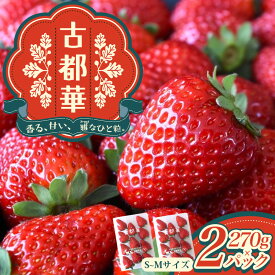 【ふるさと納税】古都華 L〜2Lサイズ 270g×2パック ／ 西田農園 ブランド いちご 苺 ことか フルーツ 果物 奈良県 葛城市