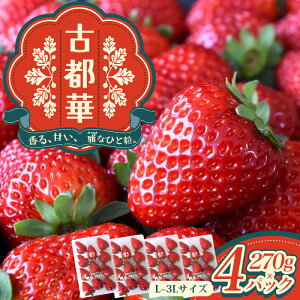 yӂ邳Ɣ[ŁzÓs L`3LTCY 270g×4pbN ^ c_ uh   Ƃ t[c ʕ ޗǌ s